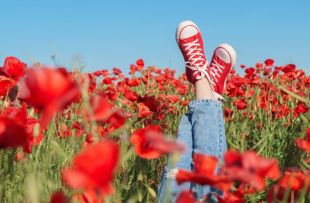Springtime Cheer